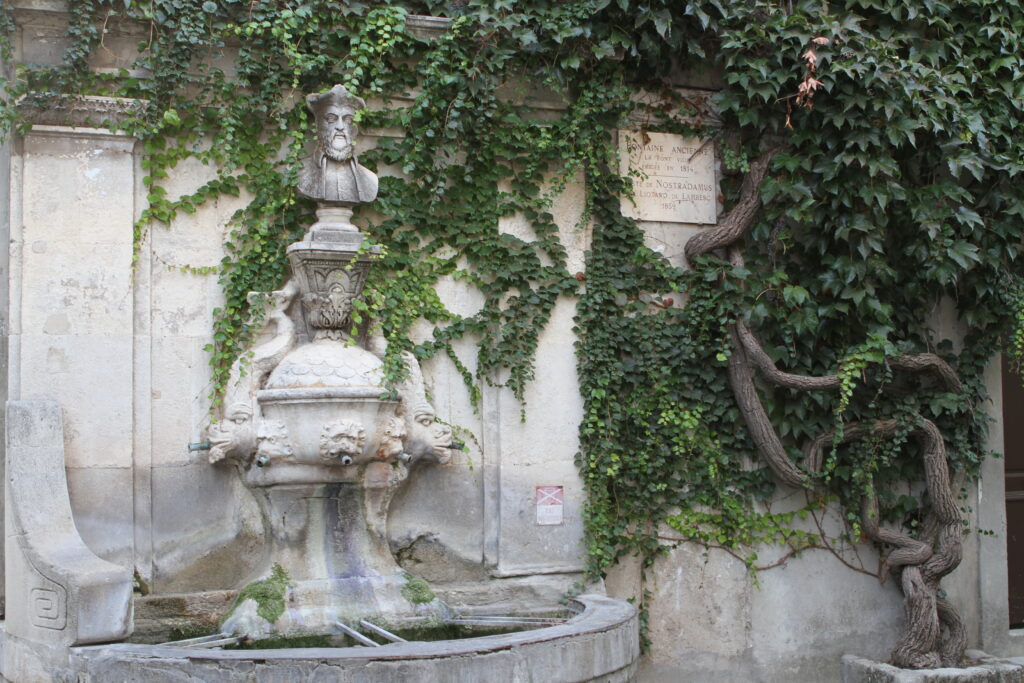 Salon-de-Provence et les Alpilles : une escapade entre art et nature