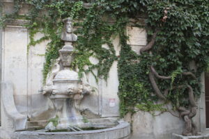 Salon-de-Provence et les Alpilles : une escapade entre art et nature